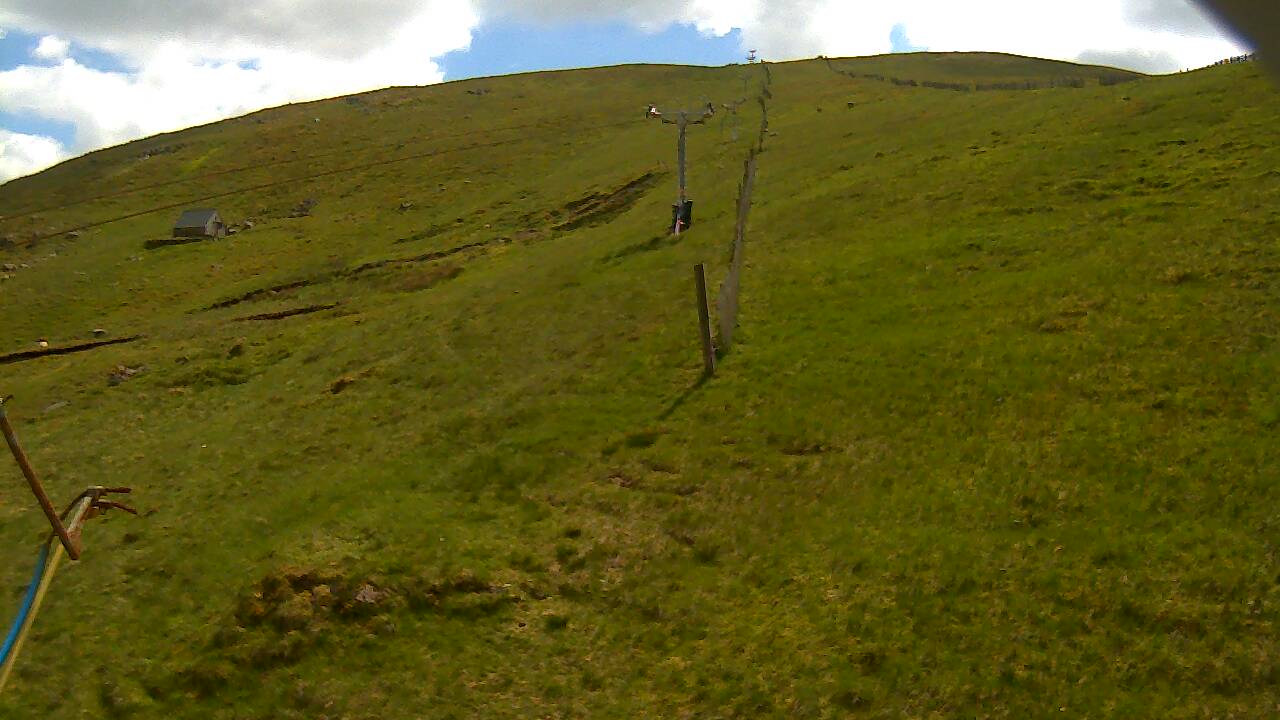 Image from 2022/06/07 for Tow Hut