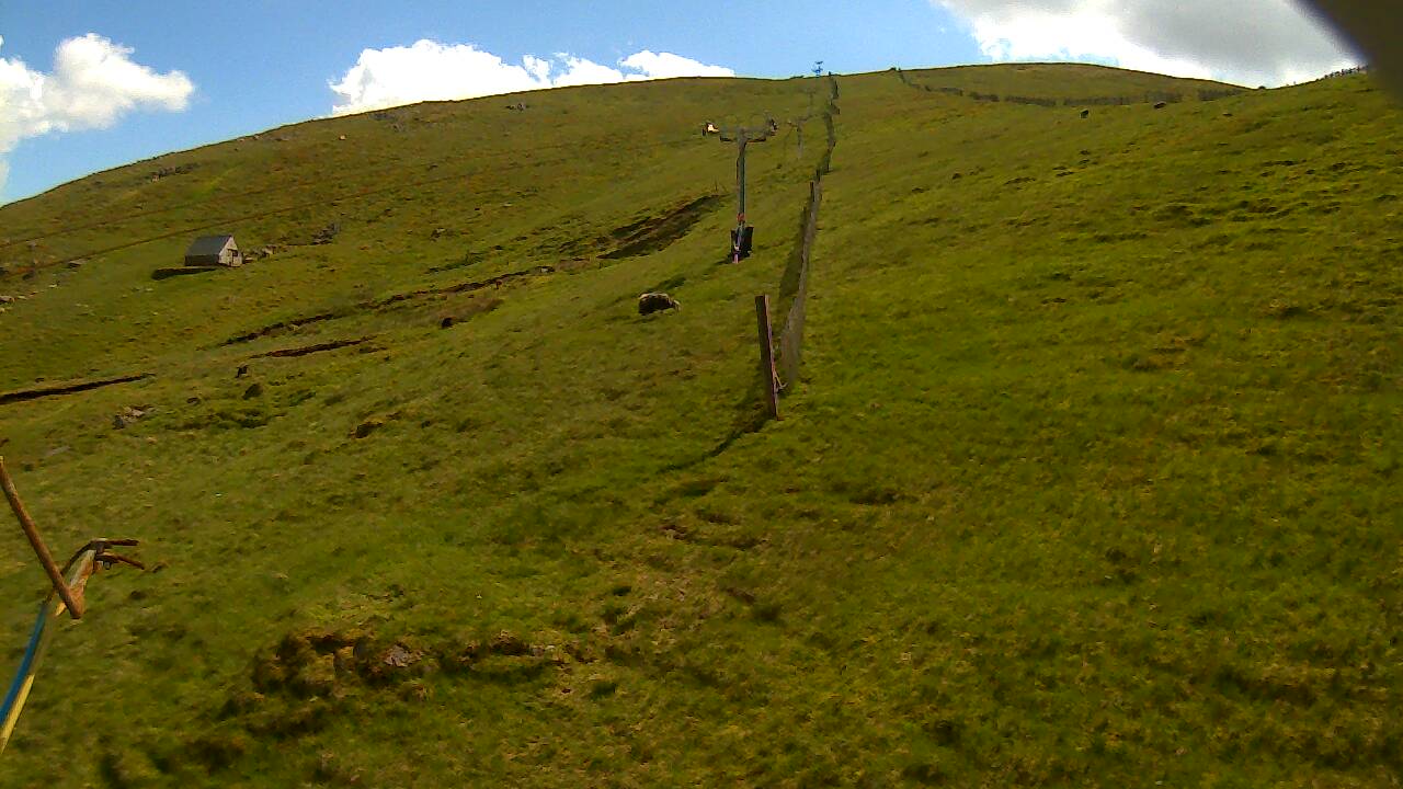 Image from 2022/06/07 for Tow Hut