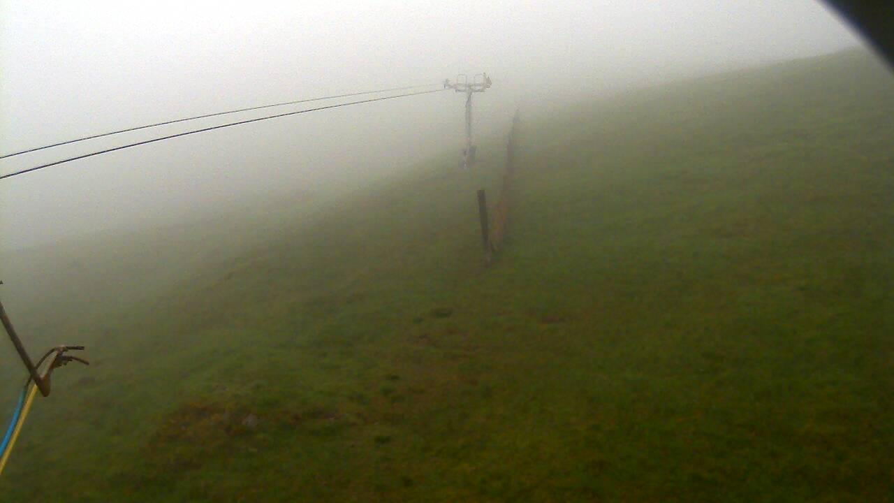 Image from 2022/06/08 for Tow Hut