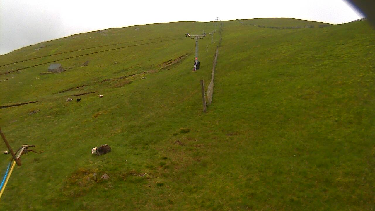 Image from 2022/06/11 for Tow Hut