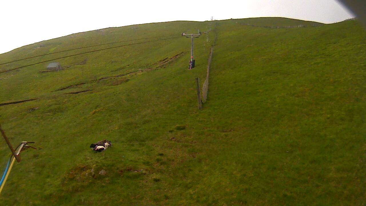 Image from 2022/06/11 for Tow Hut