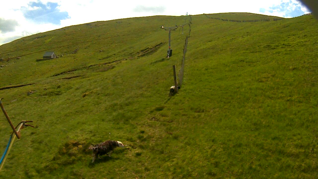 Image from 2022/06/15 for Tow Hut