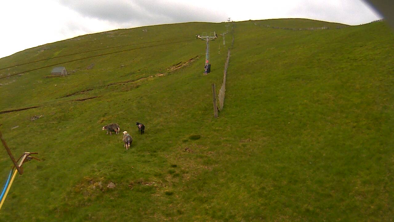 Image from 2022/06/17 for Tow Hut