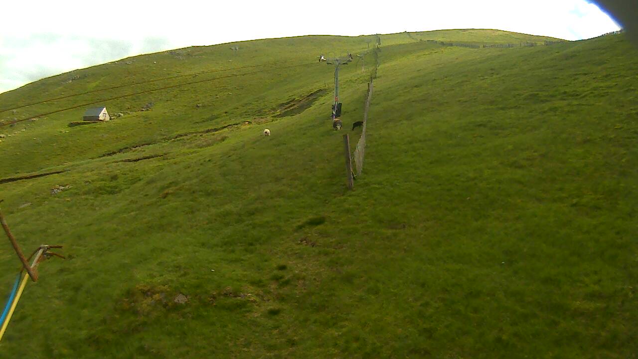 Image from 2022/06/19 for Tow Hut