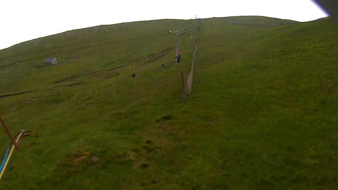 Image from 2022/06/24 for Tow Hut