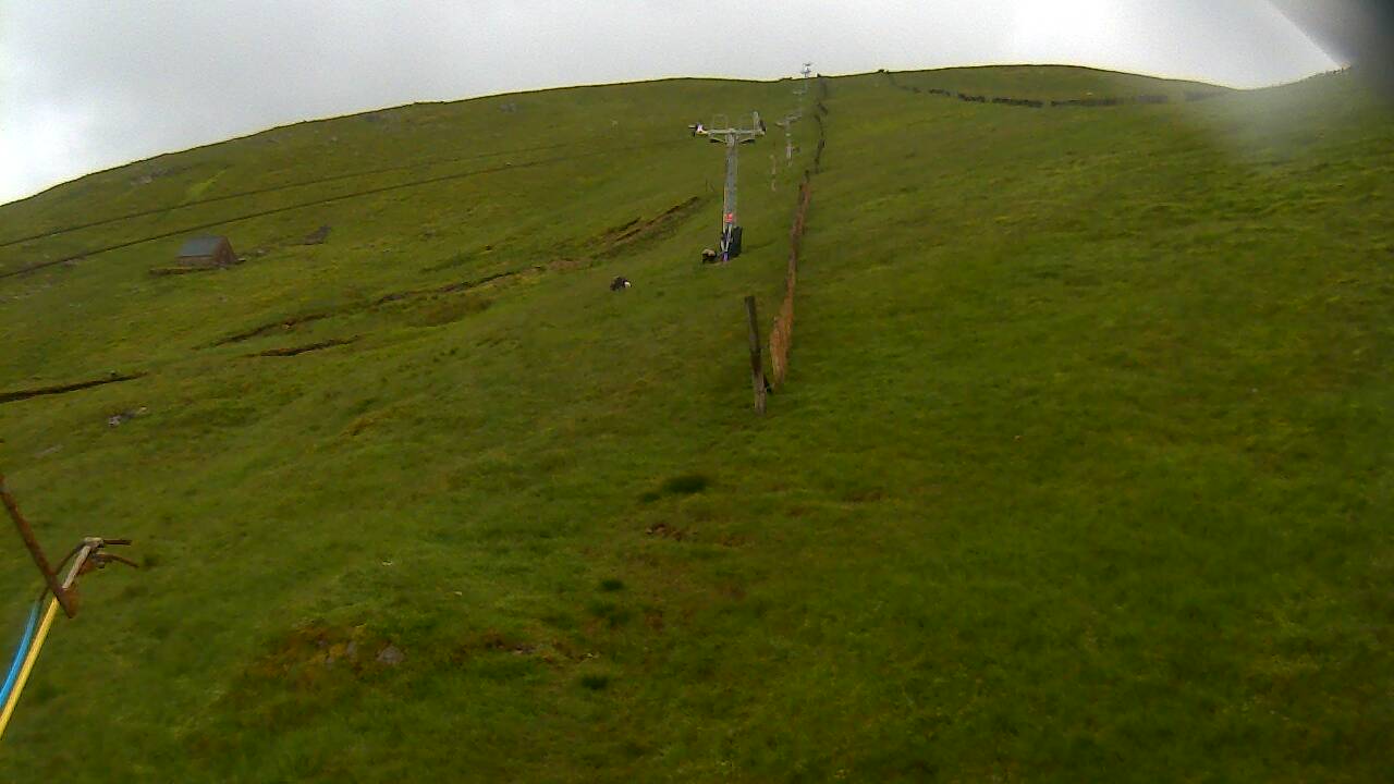 Image from 2022/06/25 for Tow Hut