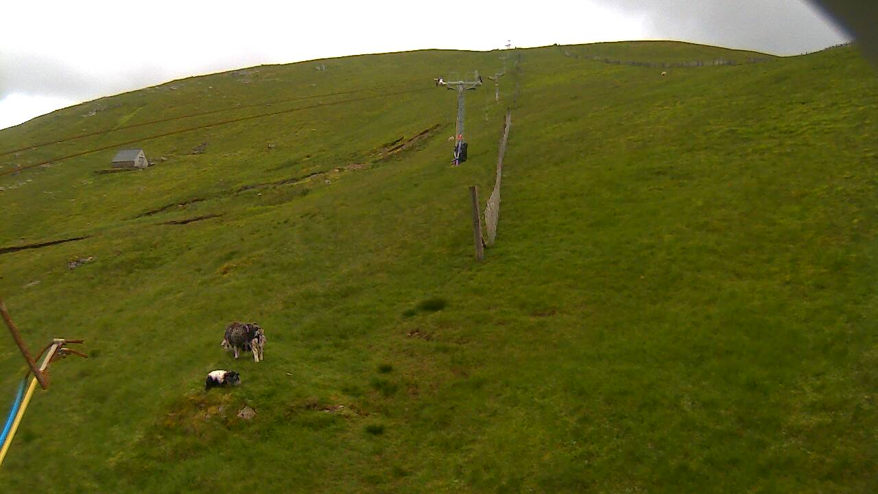 Image from 2022/06/27 for Tow Hut