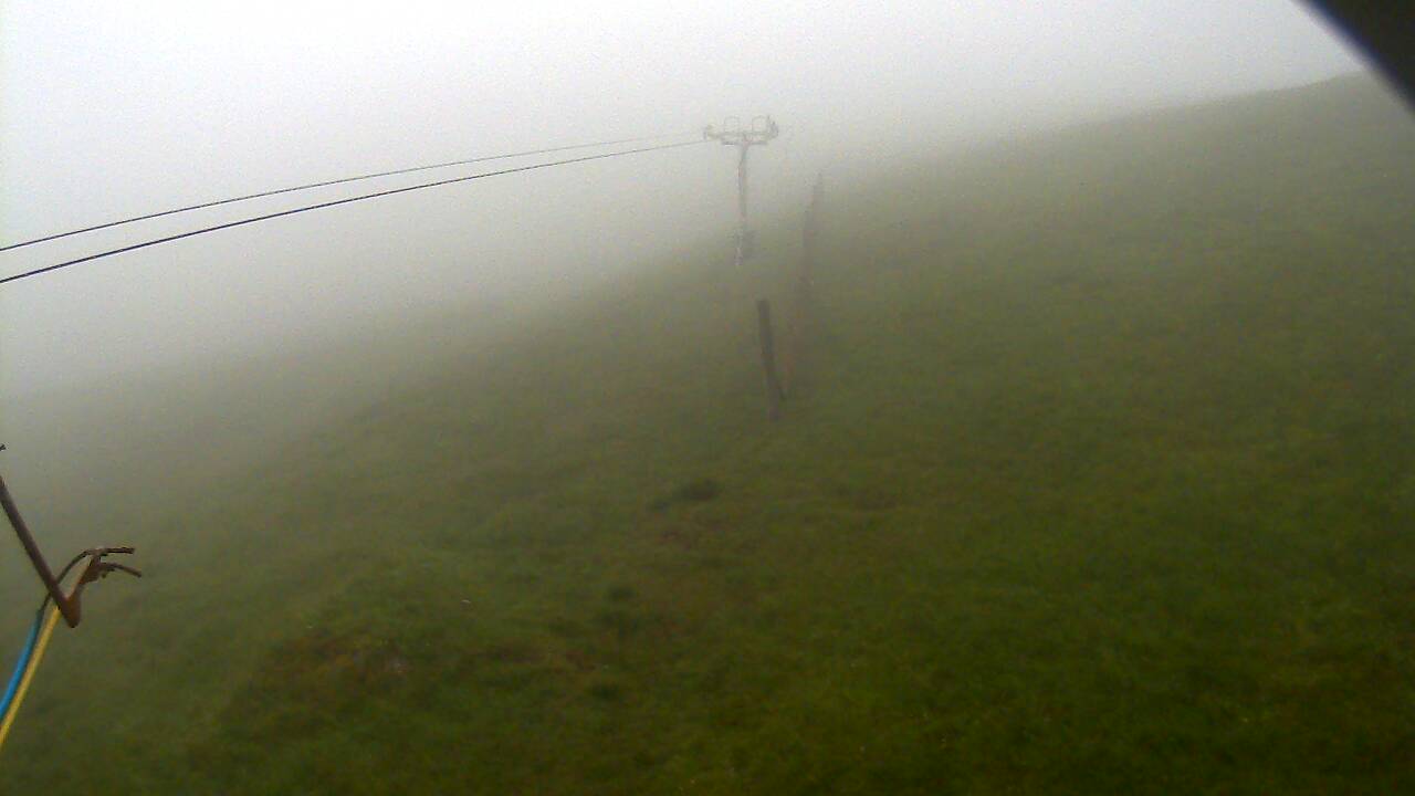 Image from 2022/07/06 for Tow Hut