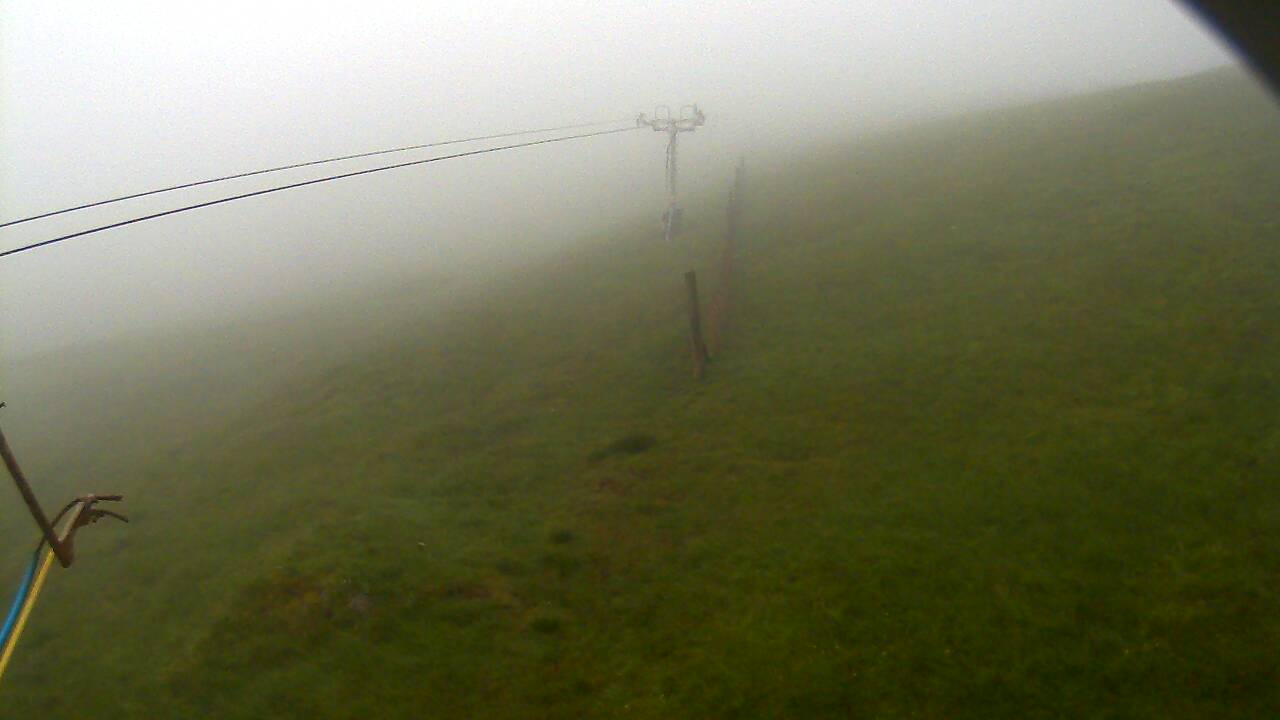 Image from 2022/07/06 for Tow Hut