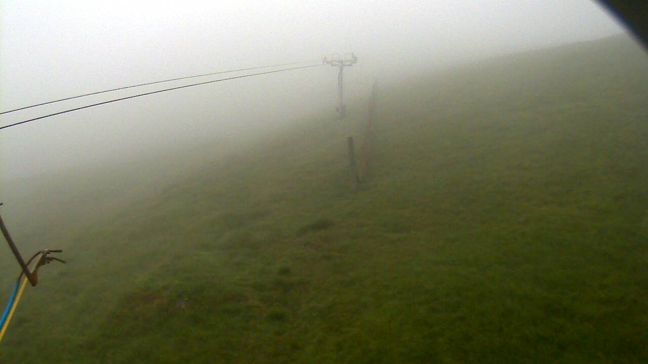 Image from 2022/07/15 for Tow Hut