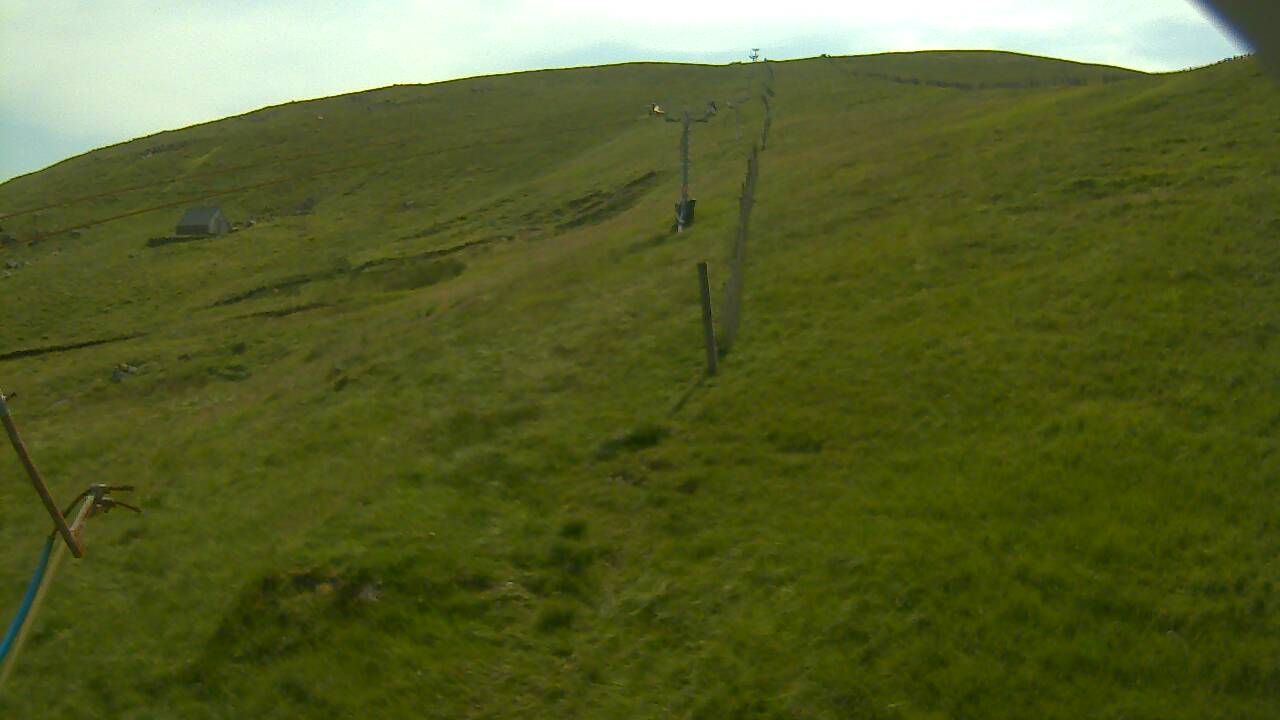 Image from 2022/07/19 for Tow Hut