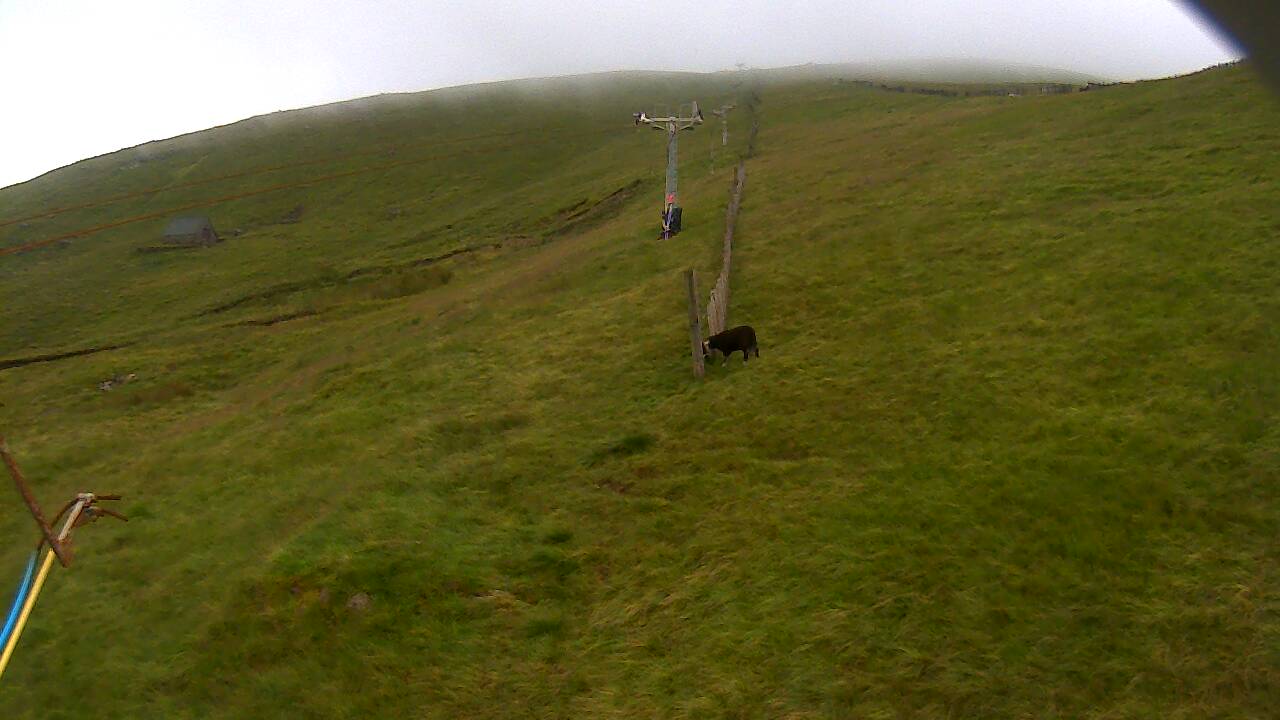 Image from 2022/08/02 for Tow Hut