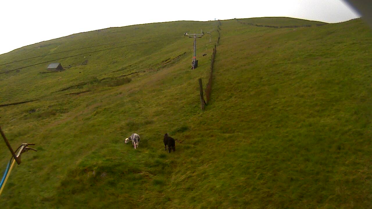 Image from 2022/08/03 for Tow Hut