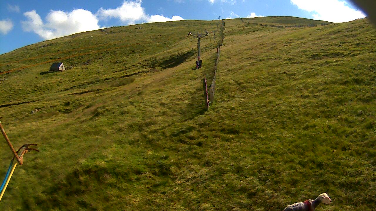 Image from 2022/08/08 for Tow Hut