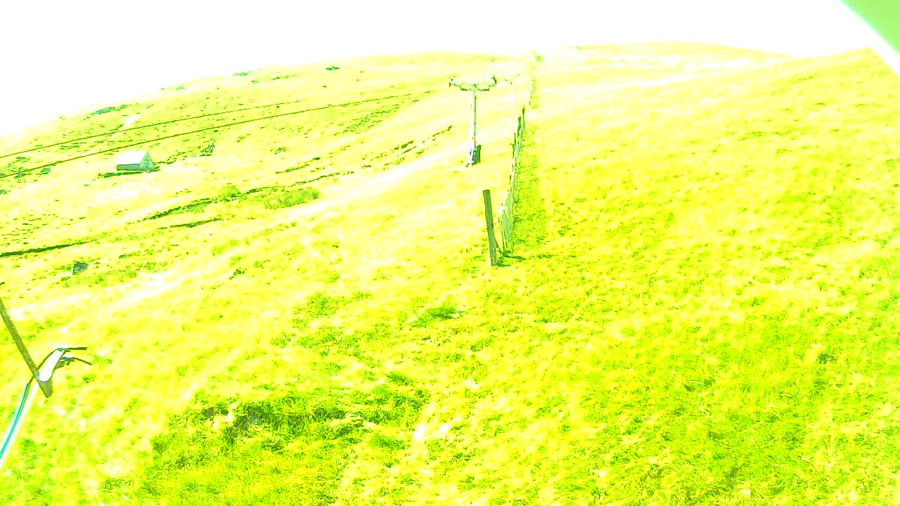 Image from 2022/08/13 for Tow Hut